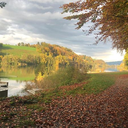 Charming Studio Near Rotsee Lucerne Kitchen/Wifi/Wasching Machine Екстериор снимка