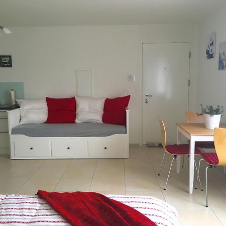 Charming Studio Near Rotsee Lucerne Kitchen/Wifi/Wasching Machine Екстериор снимка