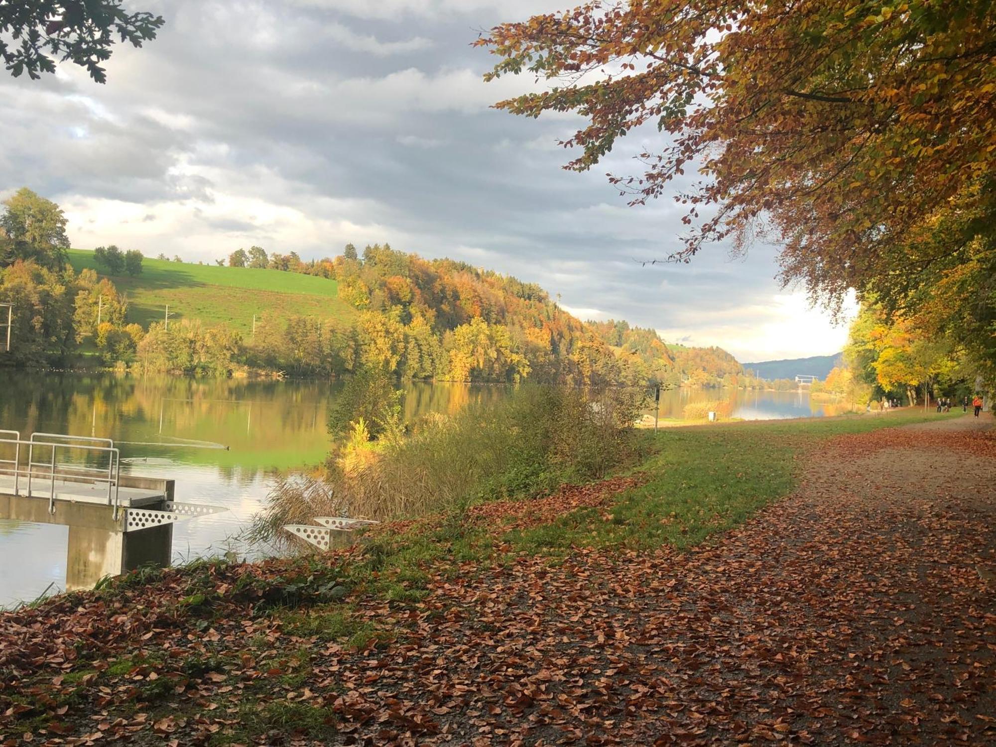 Charming Studio Near Rotsee Lucerne Kitchen/Wifi/Wasching Machine Екстериор снимка