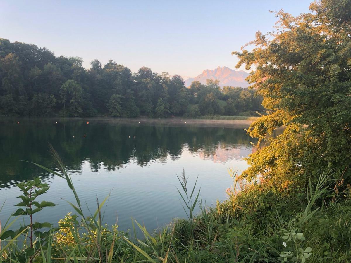 Charming Studio Near Rotsee Lucerne Kitchen/Wifi/Wasching Machine Екстериор снимка